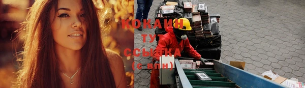 амф Алзамай