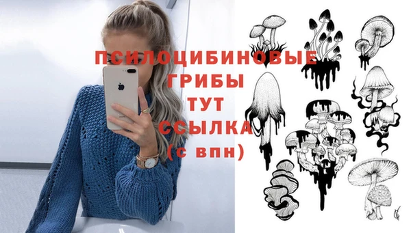 каннабис Алексин