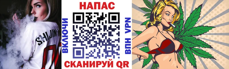 Бошки марихуана марихуана  Новокубанск 